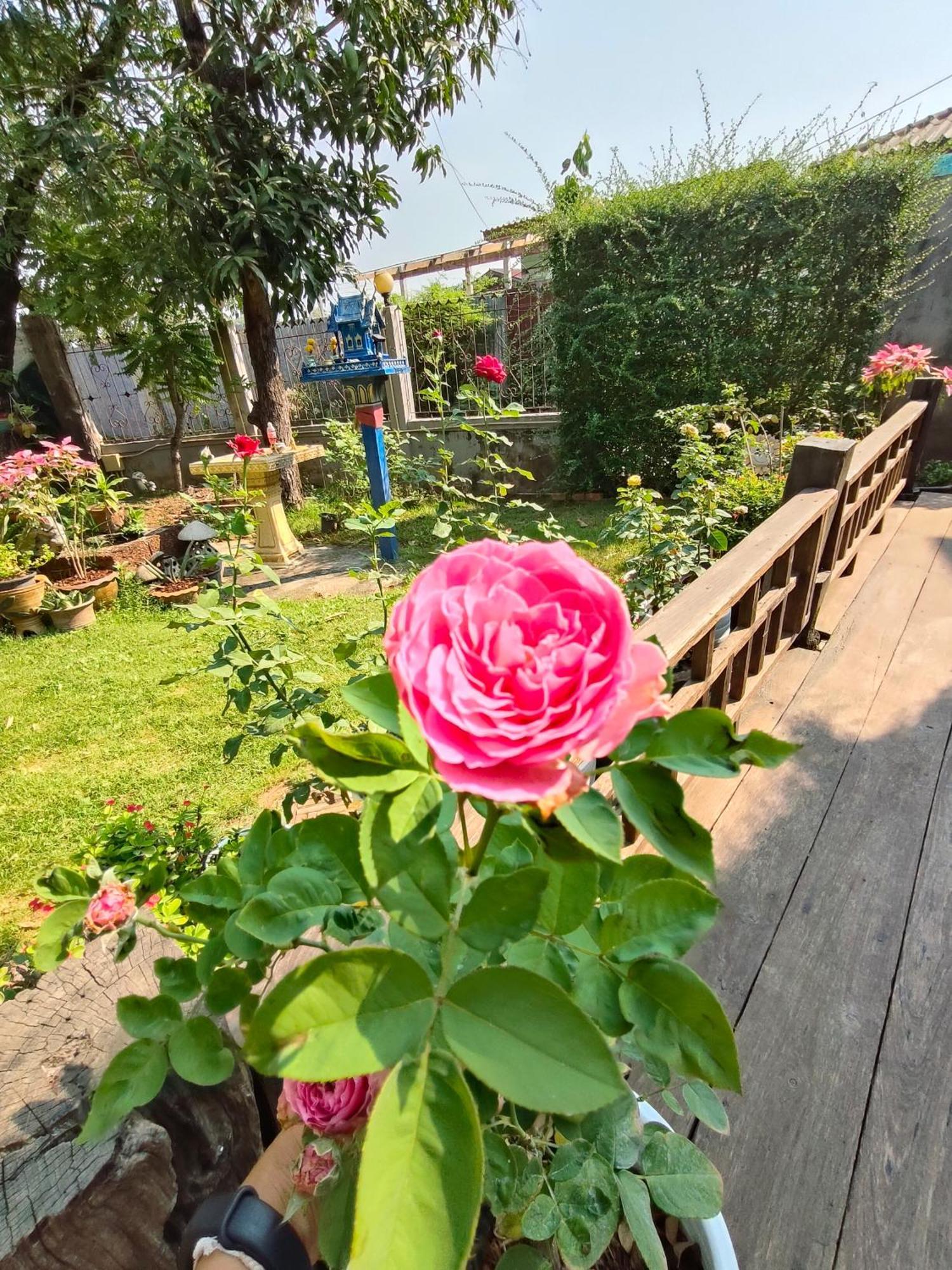 Smilingface Guesthouse Сукотаи Экстерьер фото